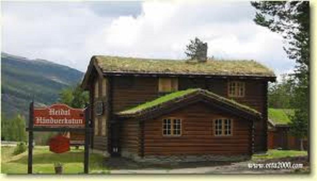 Lusæter Timber Cabins Heidal Bagian luar foto