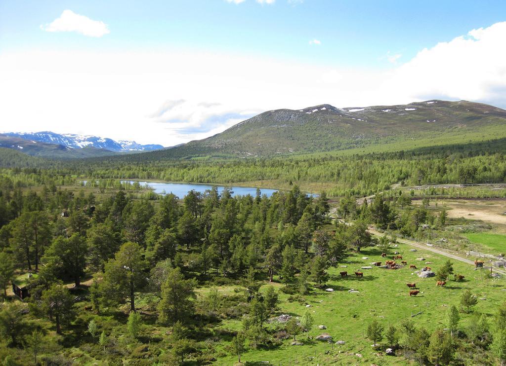 Lusæter Timber Cabins Heidal Bagian luar foto